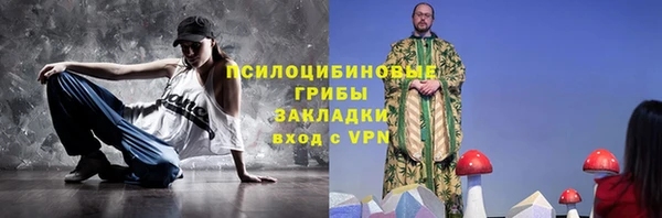 МДПВ Кукмор