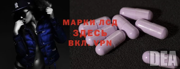 сатива Куйбышев