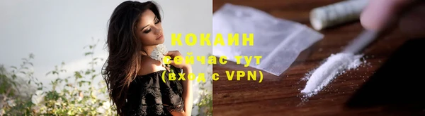 сатива Куйбышев