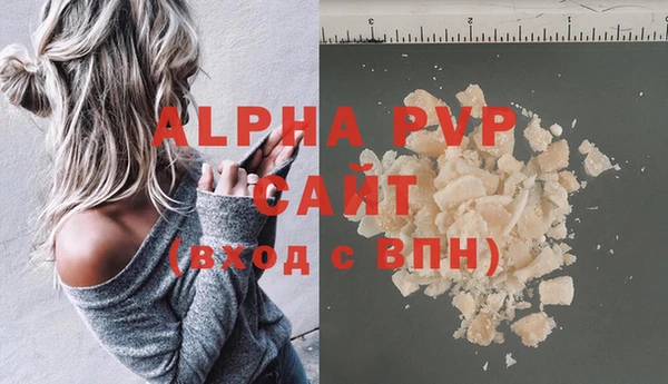 Альфа ПВП Горняк