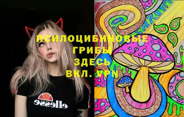 Альфа ПВП Горняк