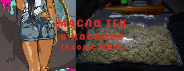 Альфа ПВП Горняк