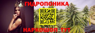 тгк Канаш