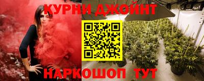 трава Бийск