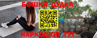тгк Канаш