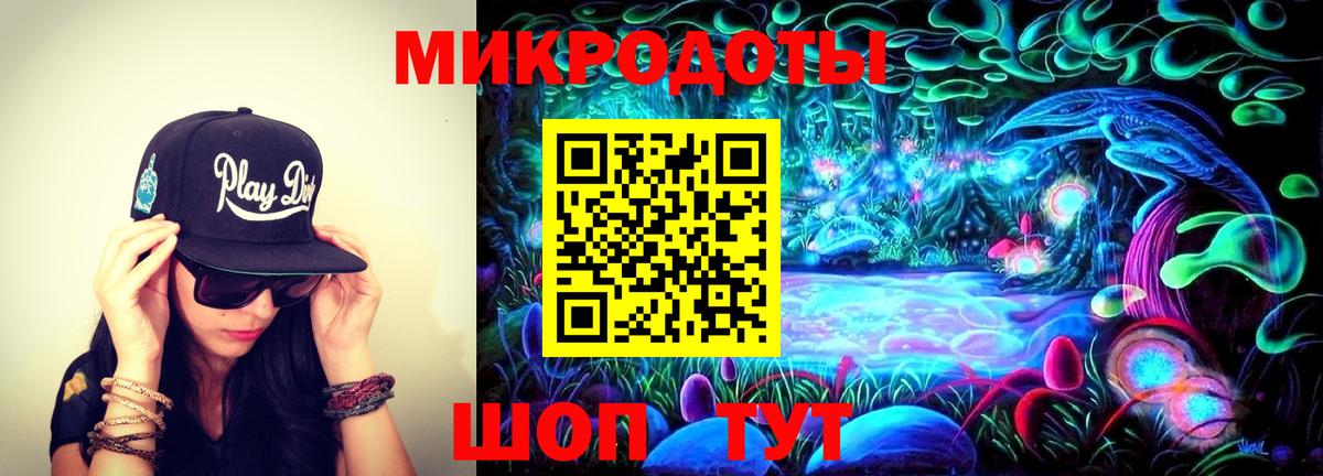 Можайск  Псилоцибиновые грибы Cubensis  Вход с VPN 